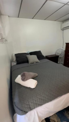176 Calle Perez (Apt 1C)